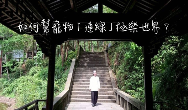 《解憂答問》 如何幫寵物「連線」極樂世界？ ｜ 師父開示 你要去跟牠的靈性互動 牽線  做連結於極樂世界的任何訊息